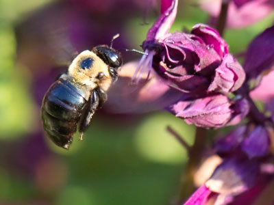 The morning buzz.