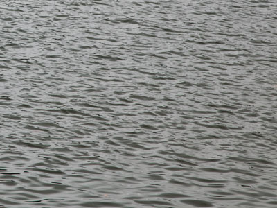 Scene from a river.