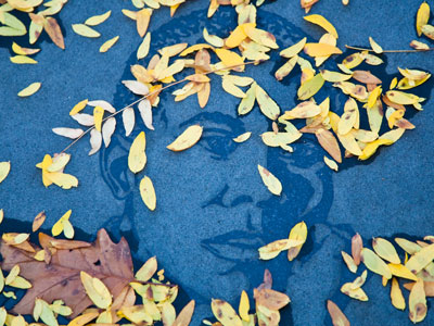 Paul in the fall.