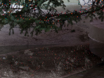 Reflections of Christmas.