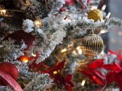 O tannenbaum.