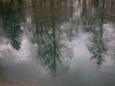 On frozen pond.