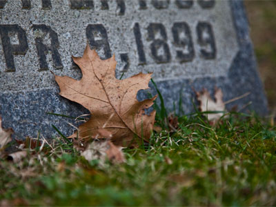 Lifespan is relative.