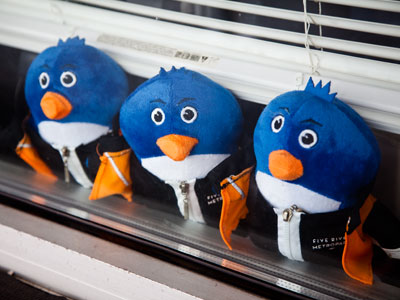 Birds of a feather flock together.