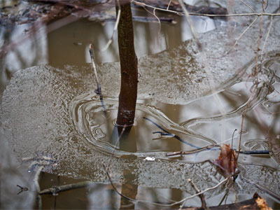 A frozen wasteland.