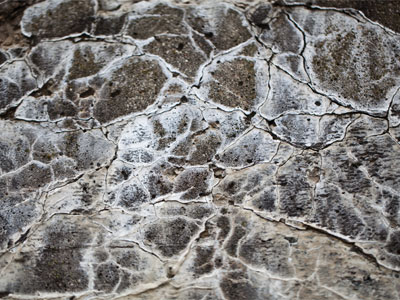 Picturesque decay.