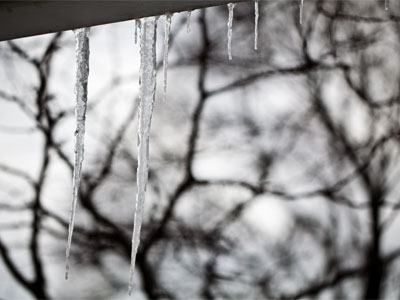These aren`t the SAME icicles as January 11 above.