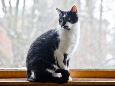 JB also has a regal side.