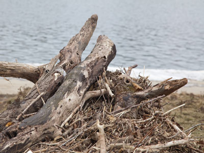 Deteriorating downtown Dayton driftwood.