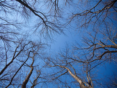 Looking up.
