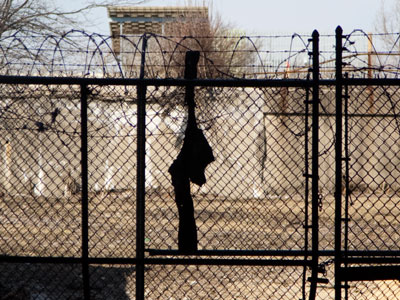 Why it`s never a good idea to climb a barbed wire fence.