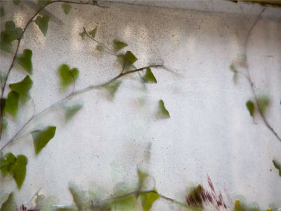 Impressions of the basement window.