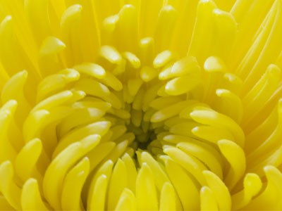 Here`s what that AWESOME macro lens sees right now.