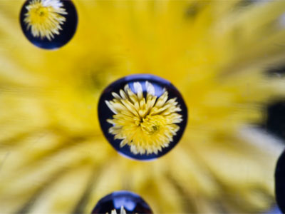 The most difficult thing here was water droplet placement.