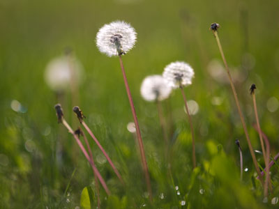 Just dandy.