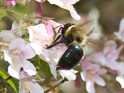 The latest buzz.