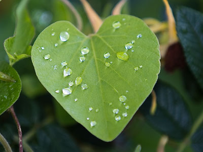 Heart drops.