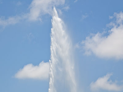 Thar she blows.