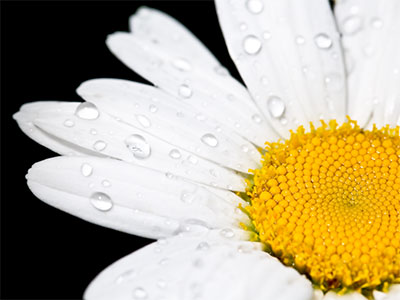 A sprinkle a day.