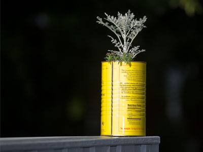 Urban agriculture.