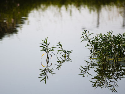 Reflecting.