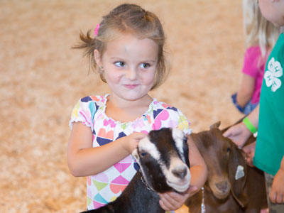 Goat princess.