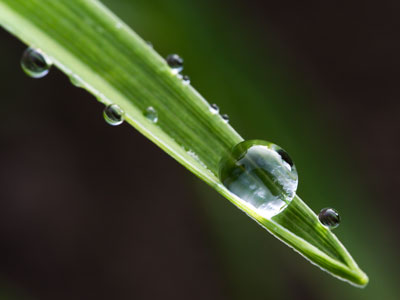 If you were with me as I took pictures, I wouldn`t speak, but I`d do a lot of pointing.  That`s what my photos are.