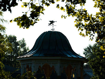 A walk in the park.