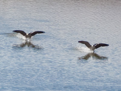 Splashdown.