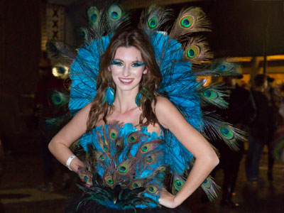 Her handmade costumes are amazing every year (see October 31, 2015, October 25, 2014, October 26, 2013, and October 27, 2012).
