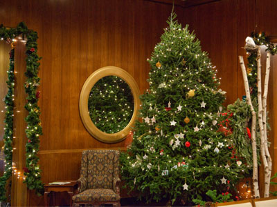 Maybe I went overboard on my decorations this year.