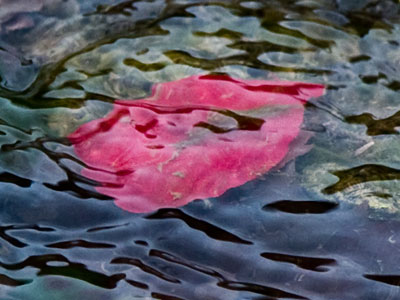 What lurks below the surface?