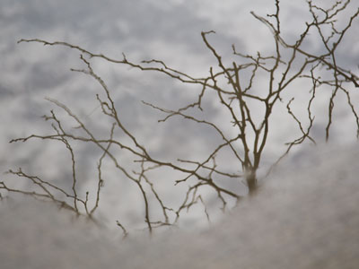 Puddle.