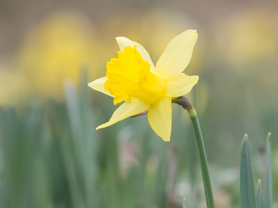 Days like this are fleeting and precious.