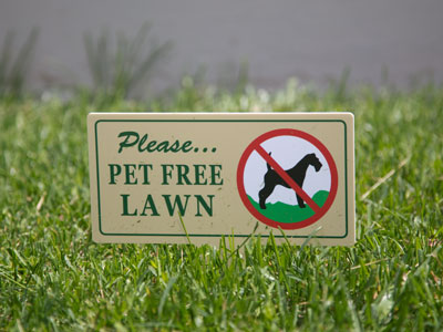 Dogs can read?