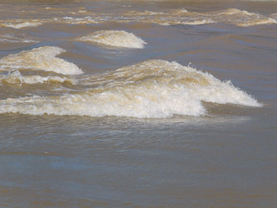 Surf Dayton.