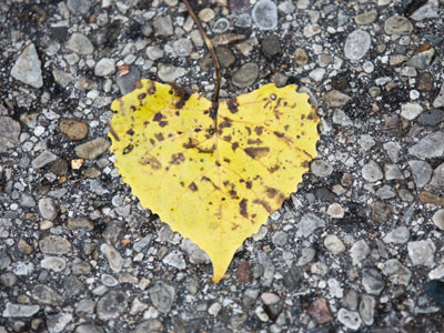 Don`t lose heart.