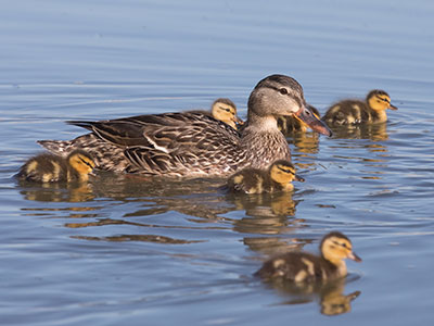 Family outing.