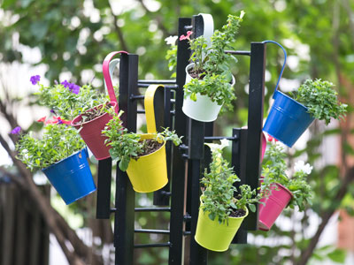 Urban gardening.