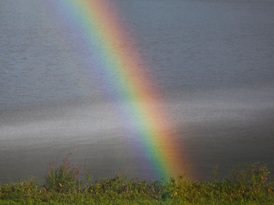At the rainbow`s end:  weeds and cigarette butts.
