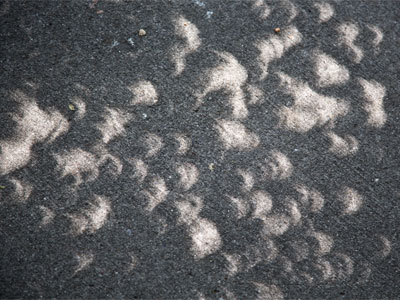 This is as close as I got to photographing the eclipse.