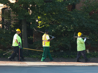 `Heigh-ho, heigh-ho, it`s off to work we go!`
