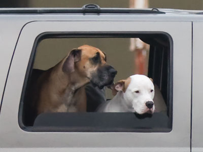 `Are we there yet?`