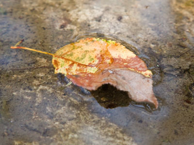 Note to approaching autumn:  No thank you.