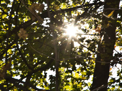 Sunny sparkles.