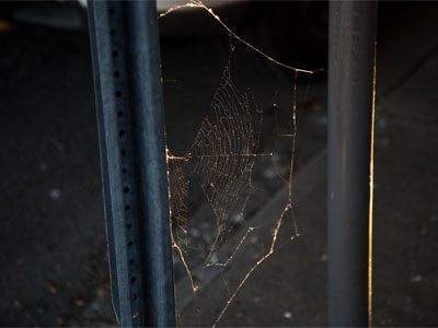Downtown sidewalks can be dangerous.
