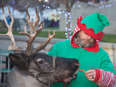 If you feed carrots to reindeer, they can`t fly away.