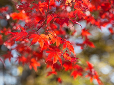I`m seeing red.