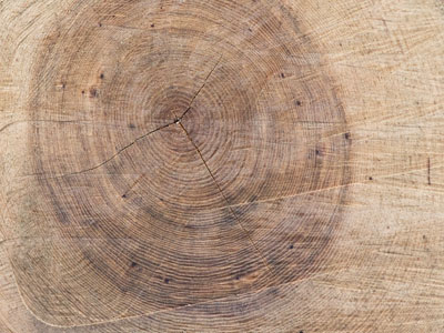 I wood.  Wood you?