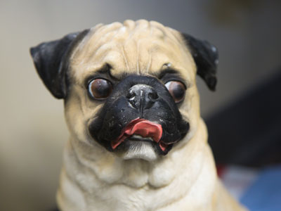 Cute is in the eye of the beholder.